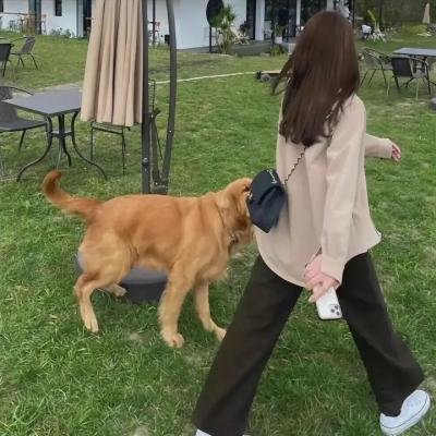 爆橘的正义